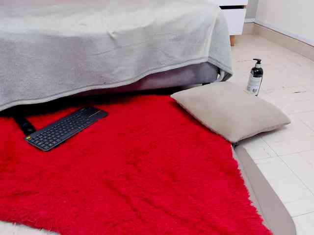 steacy-19 webcam