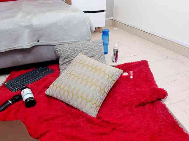 steacy-19 webcam