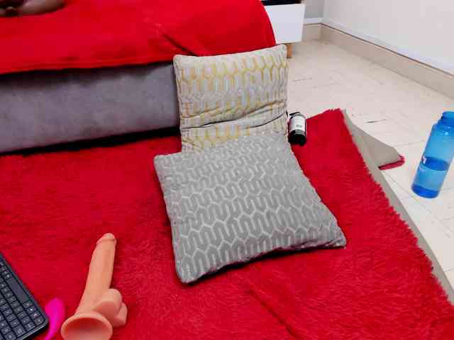 steacy-19 webcam
