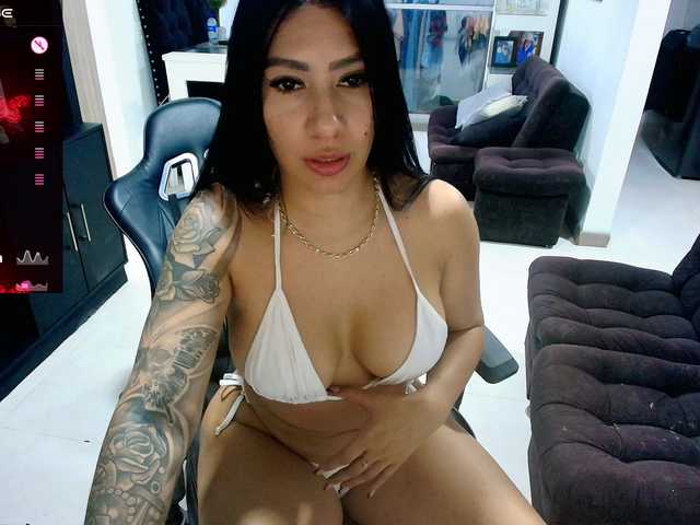 Pamelafit