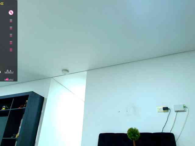 pamelafit webcam