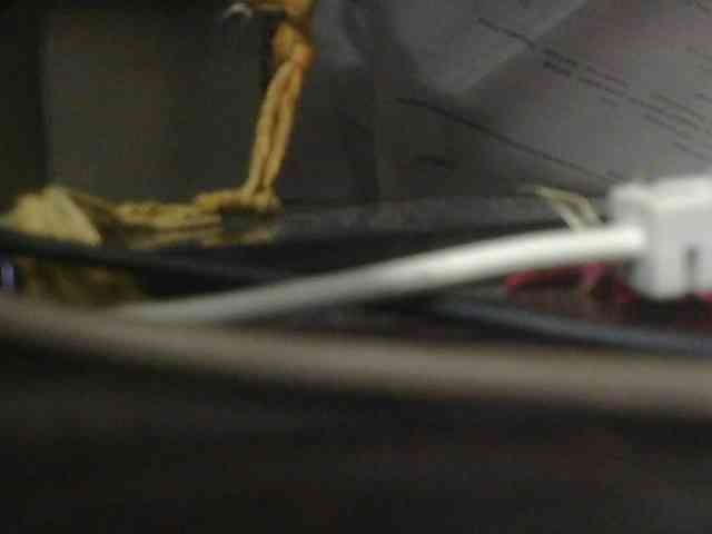 AndyohMandy webcam