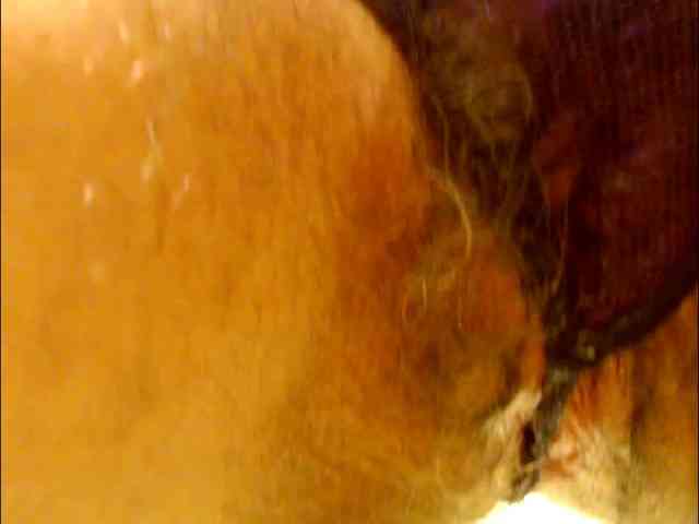 Elena7564 webcam