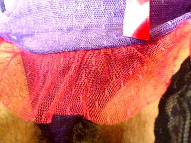 Elena7564 webcam
