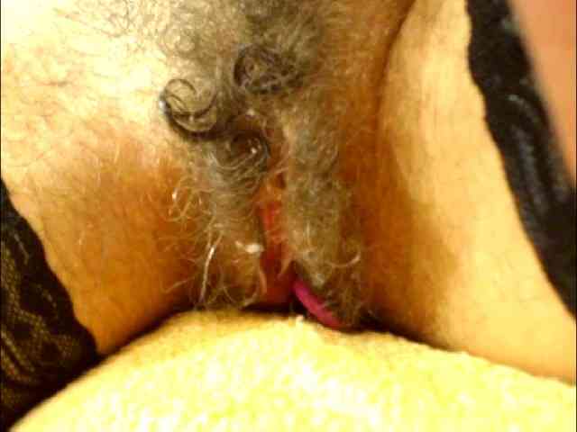 Elena7564