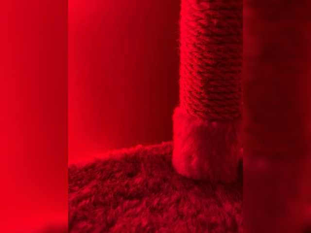 PRICESSSS1's BongaCams show and profile