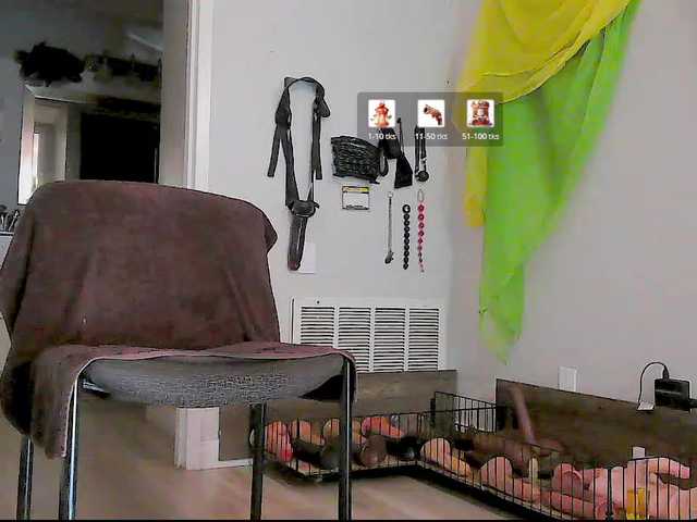 QueenAnitaDix live webcam show