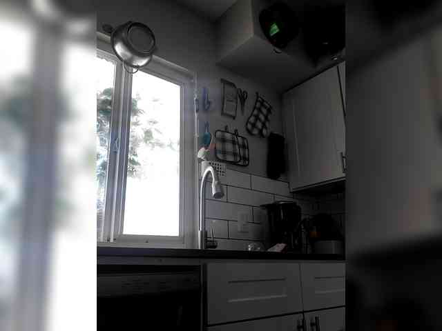 QueenAnitaDix webcam