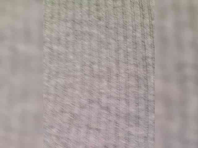 QueenAnitaDix webcam