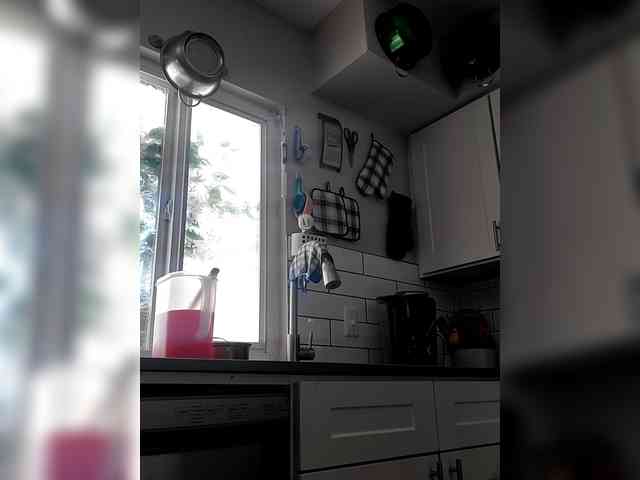 QueenAnitaDix webcam