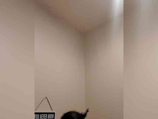 QueenAnitaDix