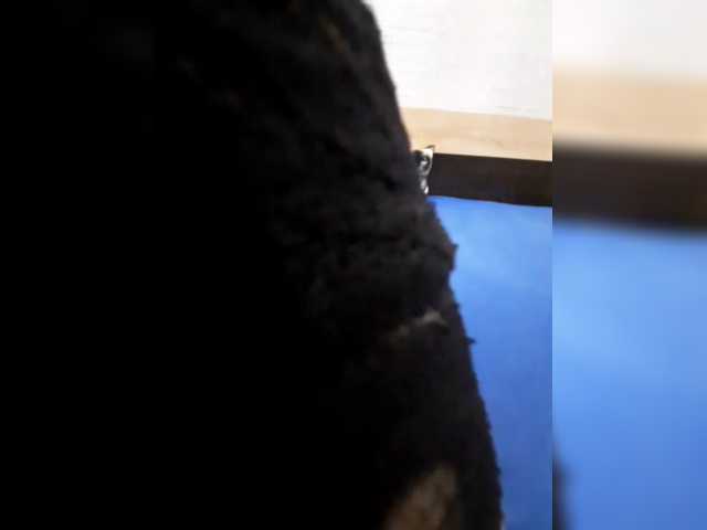 JuliaKiss-PH, live now on BongaCams