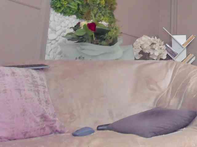 UnforseenLand webcam