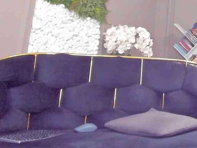 UnforseenLand webcam