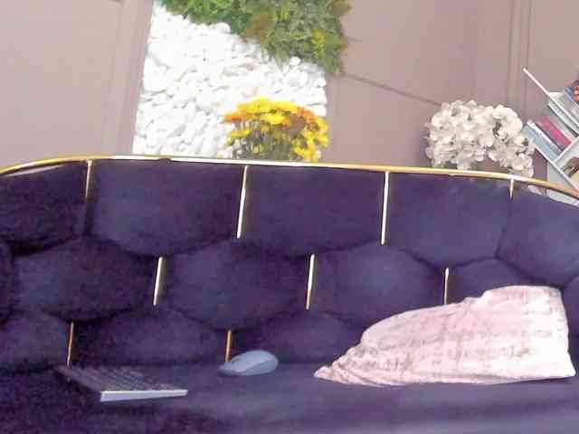 UnforseenLand webcam