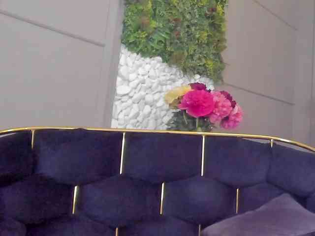 UnforseenLand webcam