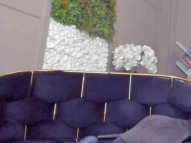 UnforseenLand webcam