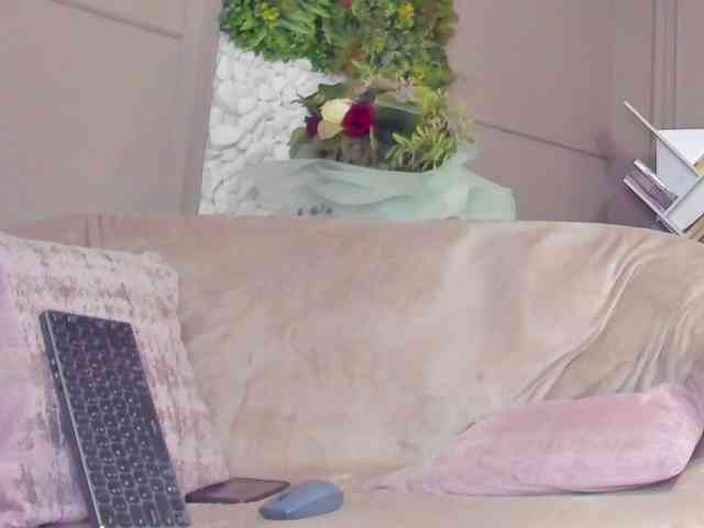 UnforseenLand webcam