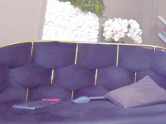 UnforseenLand webcam