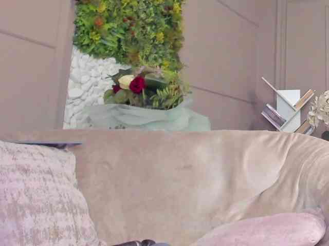 UnforseenLand webcam