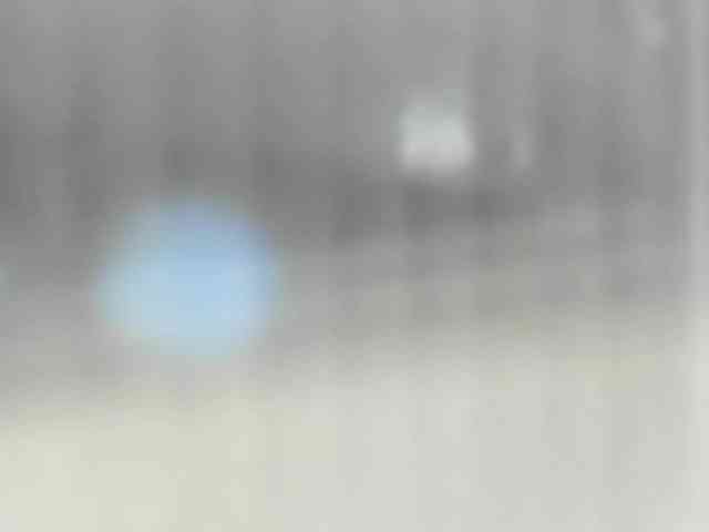Greeenfriends6969 webcam