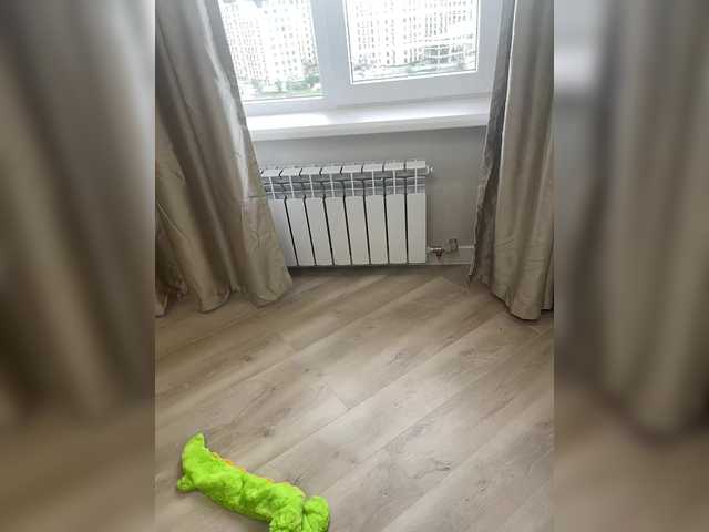 puppy19