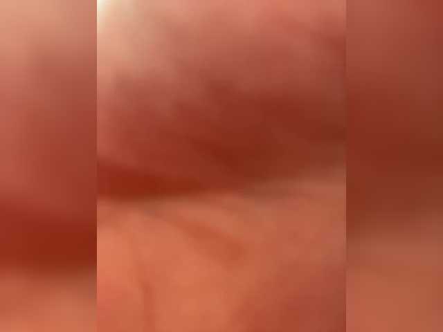 puppy19