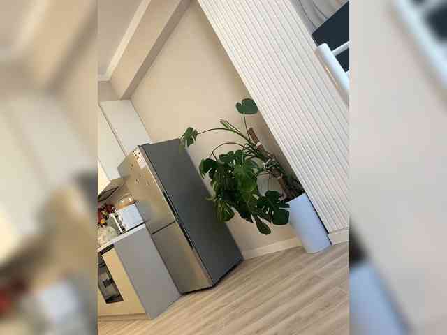 Модель: CuteKitty00