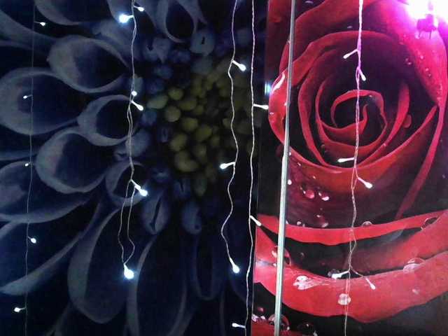 Lilijjjjjjjjjjjjjjjjj90