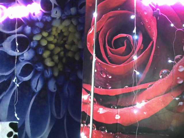 Lilijjjjjjjjjjjjjjjjj90 live cam on BongaCams
