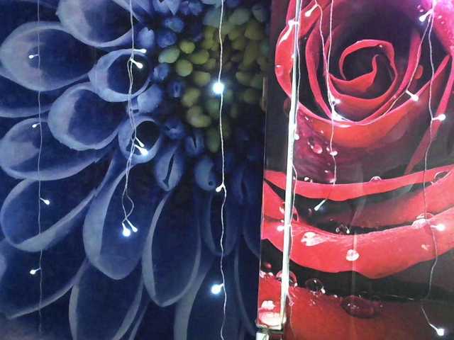 Lilijjjjjjjjjjjjjjjjj90 live cam on BongaCams