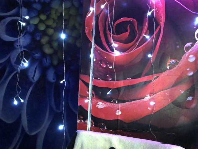 Lilijjjjjjjjjjjjjjjjj90 live cam on BongaCams