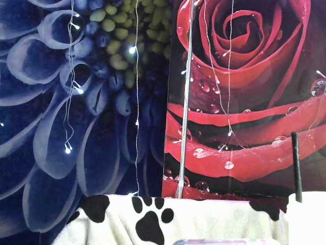 Lilijjjjjjjjjjjjjjjjj90 live cam on BongaCams