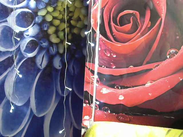Lilijjjjjjjjjjjjjjjjj90 live cam on BongaCams