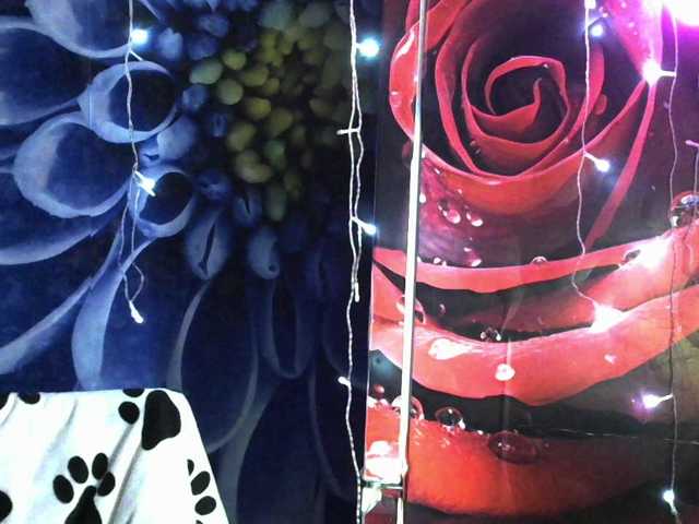 Lilijjjjjjjjjjjjjjjjj90 live cam on BongaCams