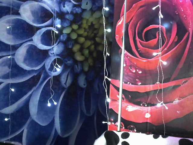 Lilijjjjjjjjjjjjjjjjj90 live cam on BongaCams