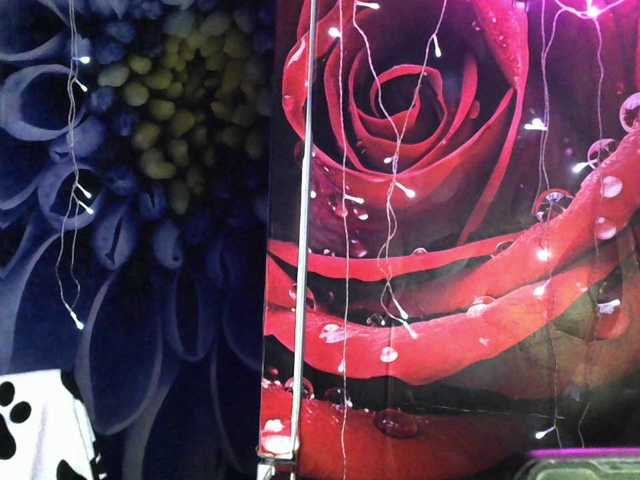 Lilijjjjjjjjjjjjjjjjj90 live cam on BongaCams