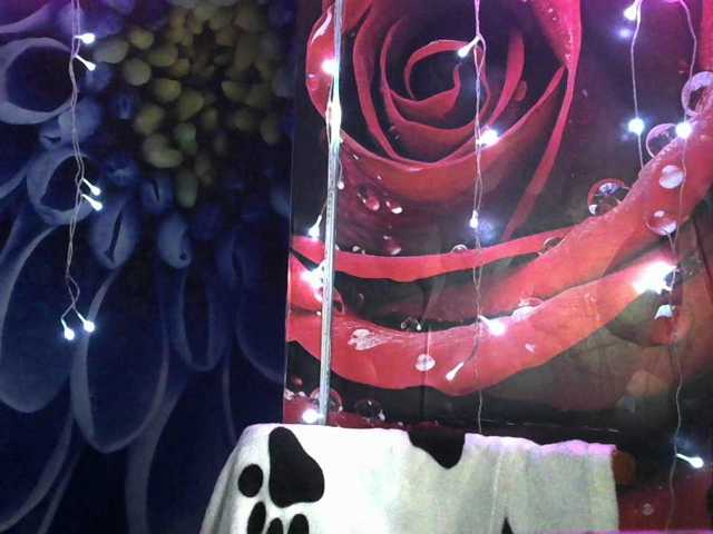 Lilijjjjjjjjjjjjjjjjj90, live now on BongaCams