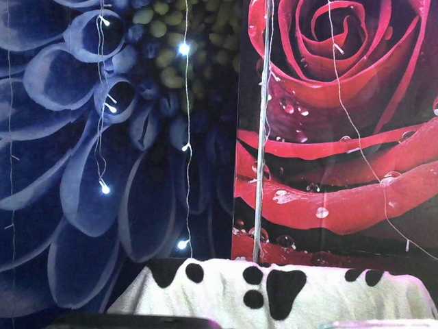 Lilijjjjjjjjjjjjjjjjj90 live cam on BongaCams