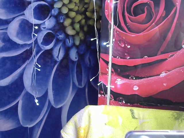 Lilijjjjjjjjjjjjjjjjj90