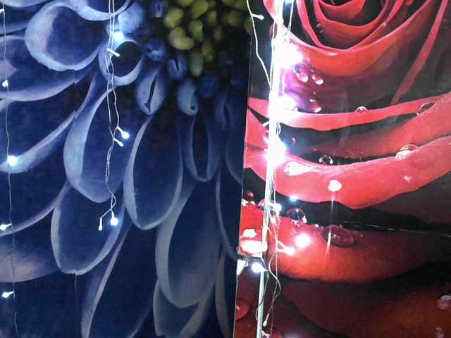 Lilijjjjjjjjjjjjjjjjj90 live cam on BongaCams