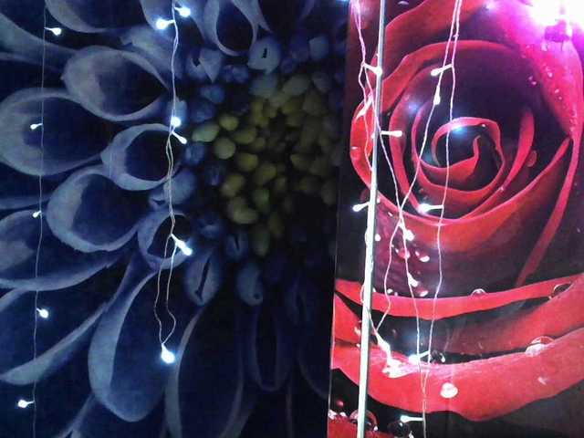 Lilijjjjjjjjjjjjjjjjj90
