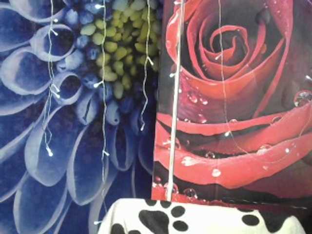 Lilijjjjjjjjjjjjjjjjj90 live webcam show