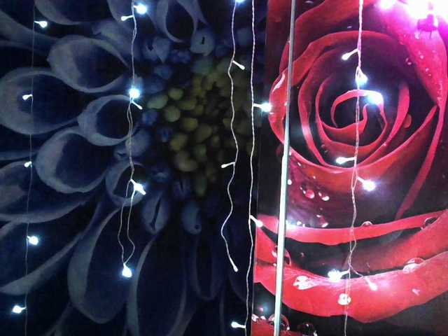 Lilijjjjjjjjjjjjjjjjj90