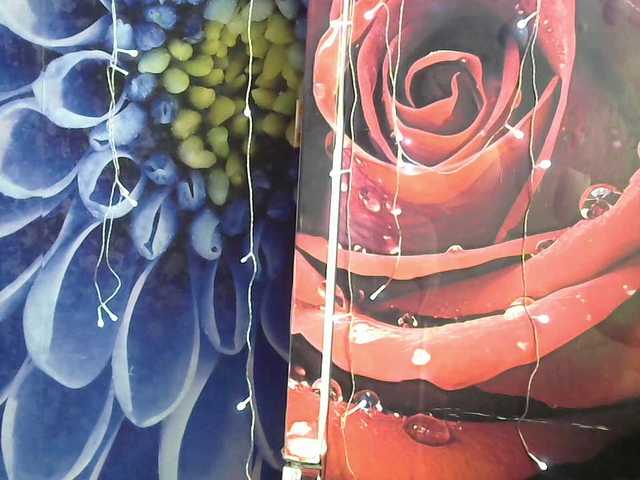 Lilijjjjjjjjjjjjjjjjj90 live cam on BongaCams