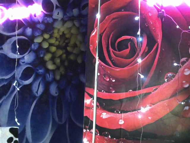 Lilijjjjjjjjjjjjjjjjj90 live cam on BongaCams