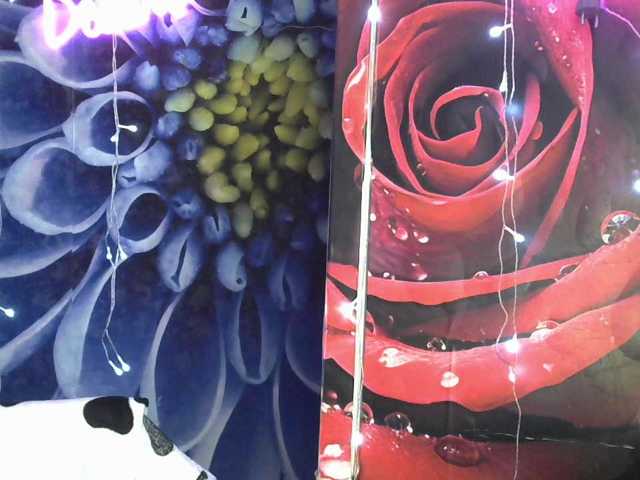 Lilijjjjjjjjjjjjjjjjj90 live cam on BongaCams