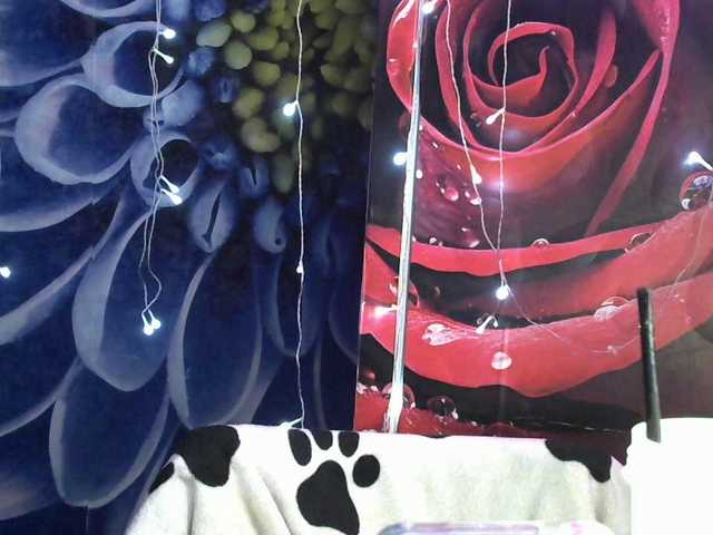 Lilijjjjjjjjjjjjjjjjj90 live cam on BongaCams