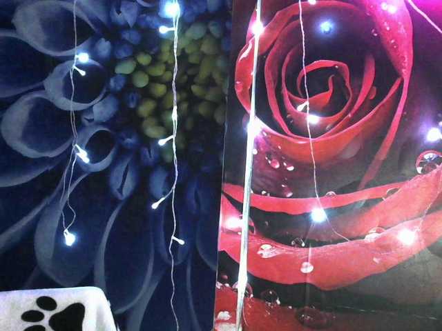 Lilijjjjjjjjjjjjjjjjj90