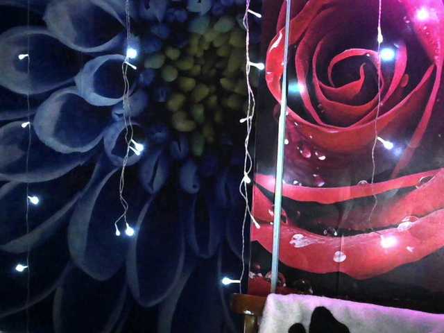 Lilijjjjjjjjjjjjjjjjj90